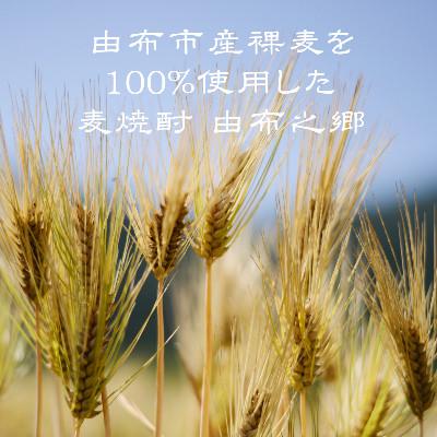 ふるさと納税 由布市 【2ヵ月毎定期便】【ゆふの蔵元直送】湯布院をご自宅に。地産麦焼酎 3本セット全6回 |  | 01