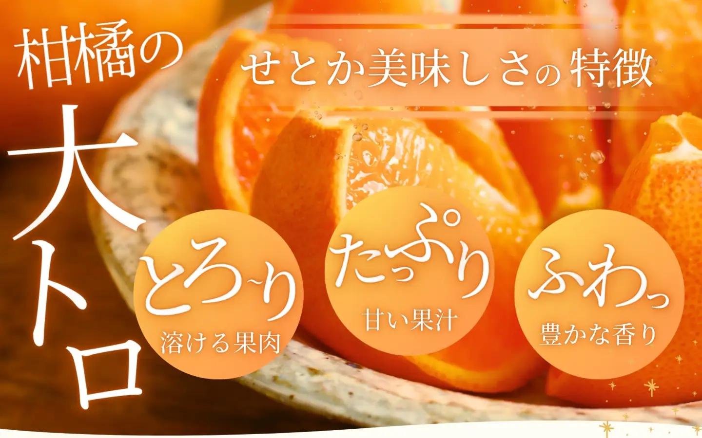 せとか 柑橘王国和歌山のせとか ご家庭用約5kg【uot748A】
