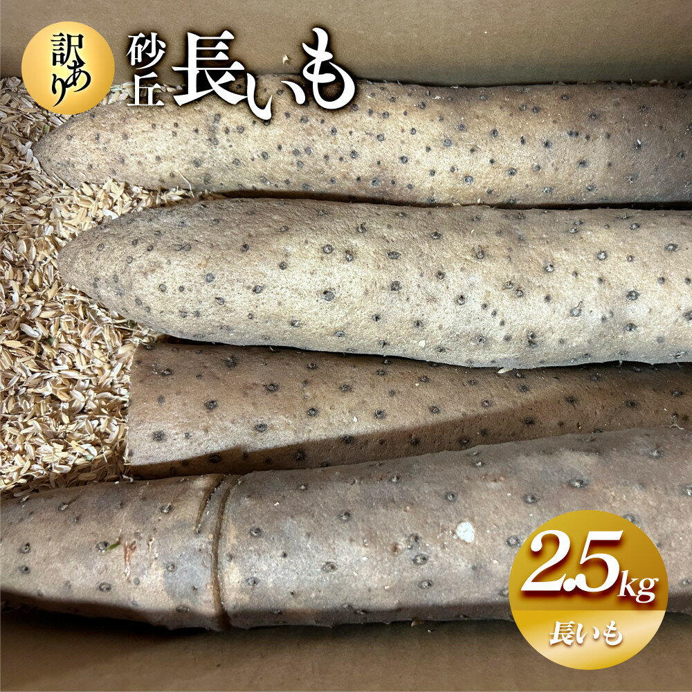 【ふるさと納税】943.【訳あり】砂丘長いも2.5kg 長芋 ながいも 鳥取県産 ※11月上旬頃～5月下旬頃に順次発送予定 | 野菜 やさい 根菜 とろろ 長芋 芋 いも 鳥取県 北栄町 おすすめ 人気 送料無料