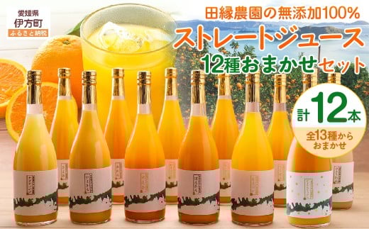 【先行受付】【数量限定】【愛媛県産】田縁農園の無添加100% ストレートジュース12種おまかせセット 720ml 全12種（2026年1月より順次発送） 【 ふるさと納税 人気 おすすめ ランキング ジュース みかんジュース オレンジジュース ミカン みかん 蜜柑 オレンジ フルーツジュース フルーツ 果物 セット 詰合せ 贈り物 贈答 ギフト 愛媛県 伊方町 送料無料 】 IKTA013