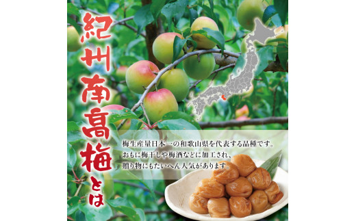 紀州南高梅　うす塩【ハチミツ入】 塩分10%（2kg）なかやまさんちの梅干　うめ　ウメ【nky010-120k】_イメージ2