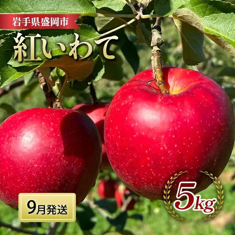 【9月下旬～発送】紅いわて りんご 3kg (8～12玉)  北田りんご園 りんご kitada011