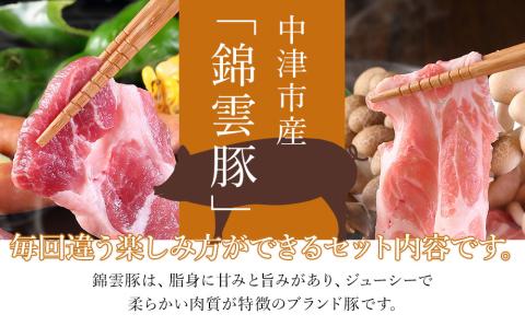 【定期便】高級ブランド錦雲豚「お米育ちの錦雲豚 鍋・バラエティセット・焼き肉」3回