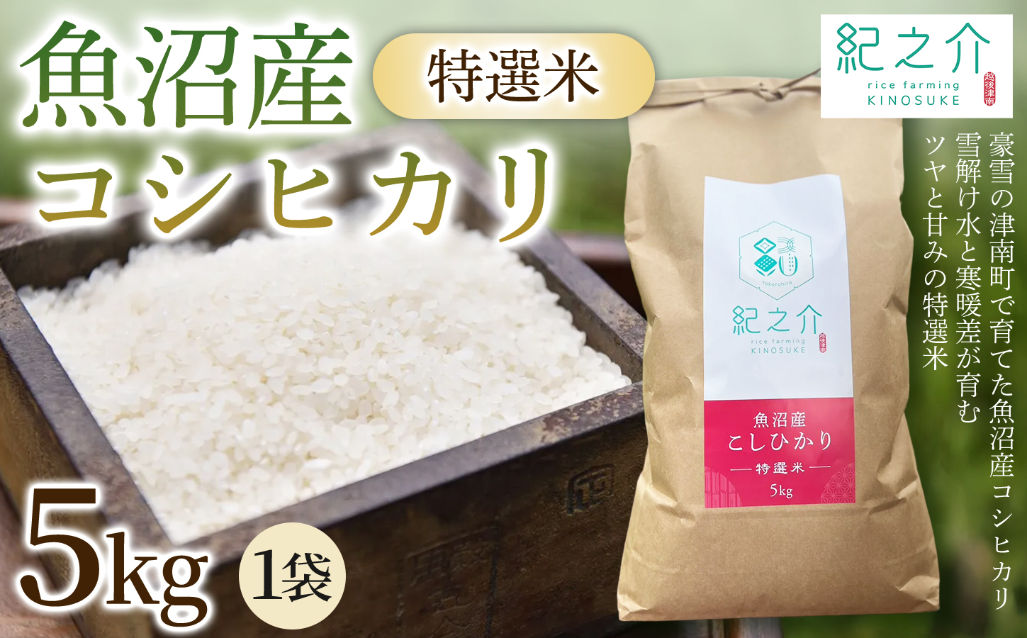令和8年産 魚沼産コシヒカリ 特選米 5kg(5kg×1袋) | 新潟県 津南町 株式会社紀之介 165191-001