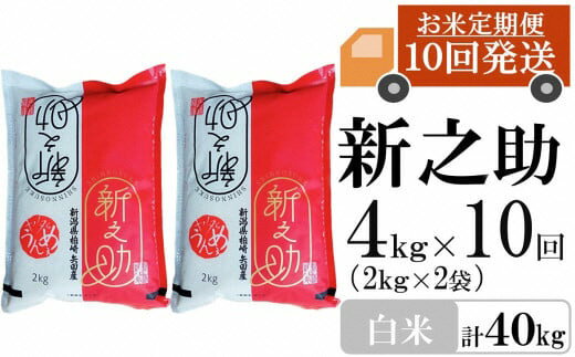 【ふるさと納税】新米先行予約【令和8年産米・10ヶ月定期便】新之助 白米 4kg（2kg×2袋）×10回（計 40kg）ヤタらうんめぇ しんのすけ 水田環境鑑定士在籍[Y0339]【新潟県 柏崎市 】