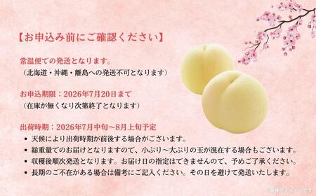 【2025年先行予約】［拝郷果樹園］岡山県産 清水白桃 約2kg（6玉〜9玉）