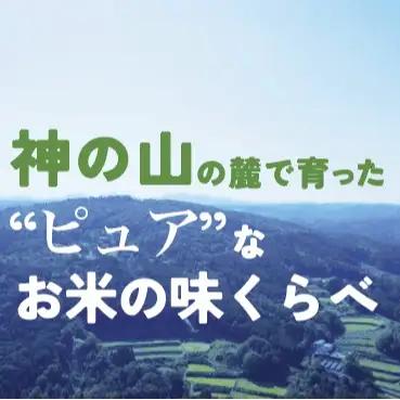 精米味くらべセット　令和8年産コシヒカリ・ひとめぼれ各5kg（9月末頃より順次出荷予定）