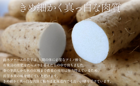 長芋 10kg ABBX003