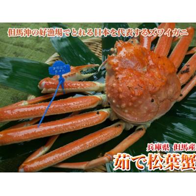 ふるさと納税 京丹後市 日本海産　ブランド蟹　茹で松葉蟹【厳選】大大サイズmatubakani1000