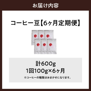 【6ヵ月定期便】自家焙煎コーヒー豆 100g×6ヵ月 種類おまかせ 