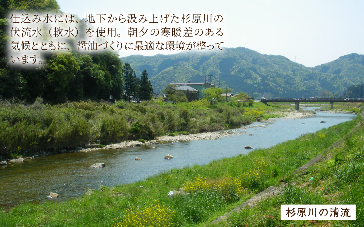 国産丸大豆 濃口醤油 2本セット