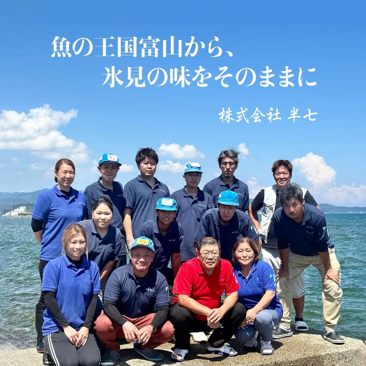 【隔月3回定期便】本物のこだわり！半七の干物 詰め合わせセット  富山県 氷見市 干物 おかず