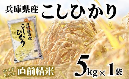 コシヒカリ 5kg 直前精米 コシヒカリ