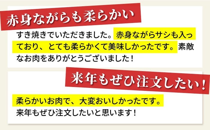 【2度の農林水産大臣賞】佐賀牛 赤身スライス 500g 黒毛和牛 牛肉 赤身 しゃぶしゃぶ すき焼き 鍋 佐賀 すき焼き用 