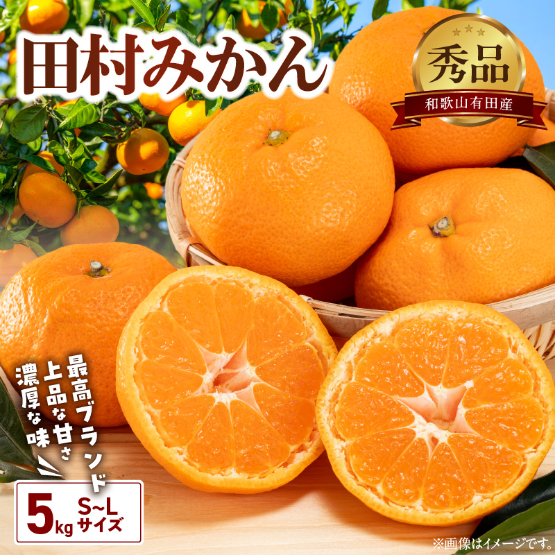 BD7004n_【2026年先行予約】有田の高級みかん【田村みかん】秀品！たっぷり 5kg ギフトにもオススメ (S～Lサイズおまかせ)