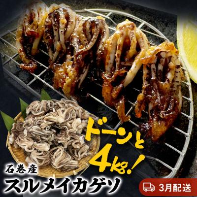 ふるさと納税 石巻市 【3月配送】訳あり 石巻産スルメイカゲソ 4kg 冷凍 国産 いか 下足 おつまみ ゲソ天 石巻応援