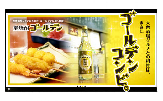 BE175宝焼酎「ゴールデン」25度 360ml✕12本入