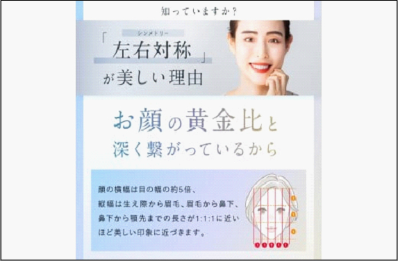 【福岡市】NIPLUX 美顔ローラー BEROLA