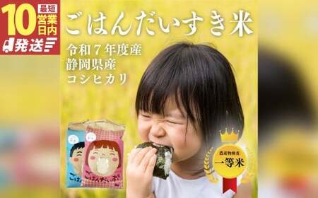 【10営業日発送】【令和7年産】静岡県産コシヒカリ 精米 10kg （5kg×2袋） 【2026年8月下旬迄順次発送予定】 コシヒカリ こしひかり 白米 米 コメ こめ ご飯 ごはん 新米 菊川市 静岡県