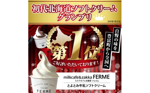 とよとみ牛乳ソフトクリーム パーティーサイズ【ショコラミックス/季節のミックス 各1個1L（計2L）】｜訳あり 業務用 ファミリーサイズ