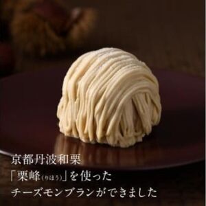 京都丹波栗 「栗峰」 チーズモンブラン 2種 計4個 ( プレーン・チョコ ）モンブラン 丹波栗 和栗 栗 チーズ スポンジ クリーム 京都 京都府 ケーキ 洋菓子 冷凍
