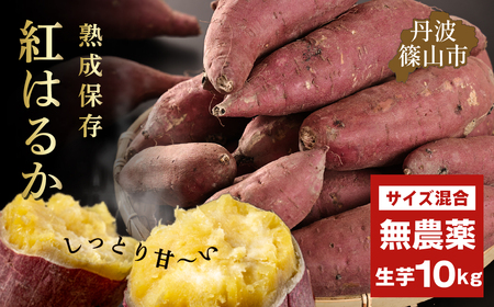 【先行予約】さつま芋　紅はるか 10kg 　訳あり 規格外 サイズ混合 さつまいも サツマイモ さつま芋 甘い ホクホク 焼き芋 焼芋 焼いも おいしい 美味しい ねっとり 天ぷら ポテト お野菜セット 食物繊維 美容 スイーツ 非常食 箱買い 大量 詰め合わせ 国産 SOY002