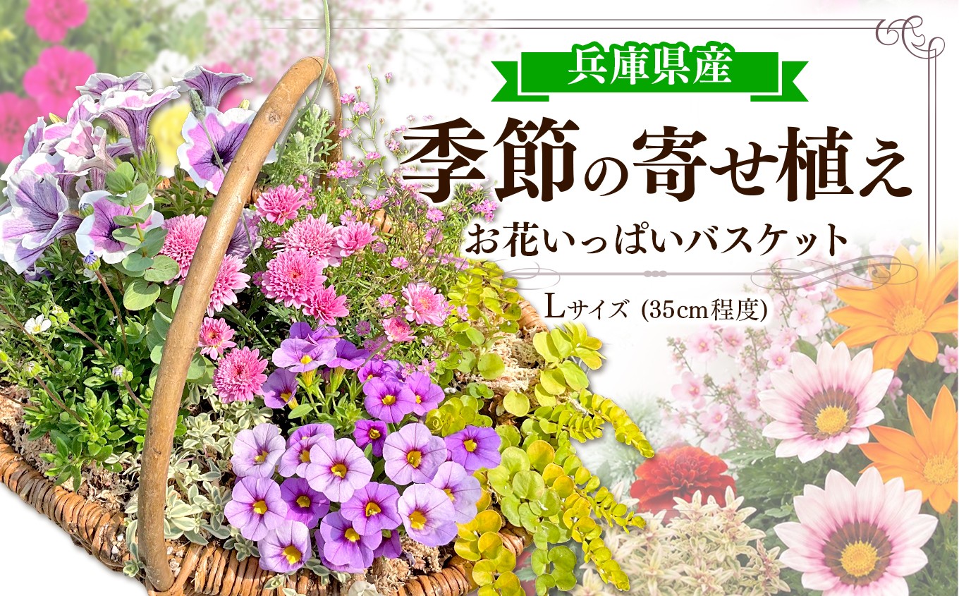 
                  お花一杯バスケット寄せ植え Lサイズ(35cm程度) 季節の寄せ植え | 花 フラワー 植物 バスケット セット 寄せ植え 兵庫県 上郡町
                