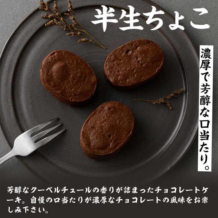 半生ちょこ(計20個) スイーツ バレンタイン ホワイトデー 濃厚 チョコ お菓子 銘菓 冷凍 ギフト 個包装 詰め合わせ 詰合せ 贈答 プレゼント 洋菓子【菓子処 菊屋】【A-1427H】