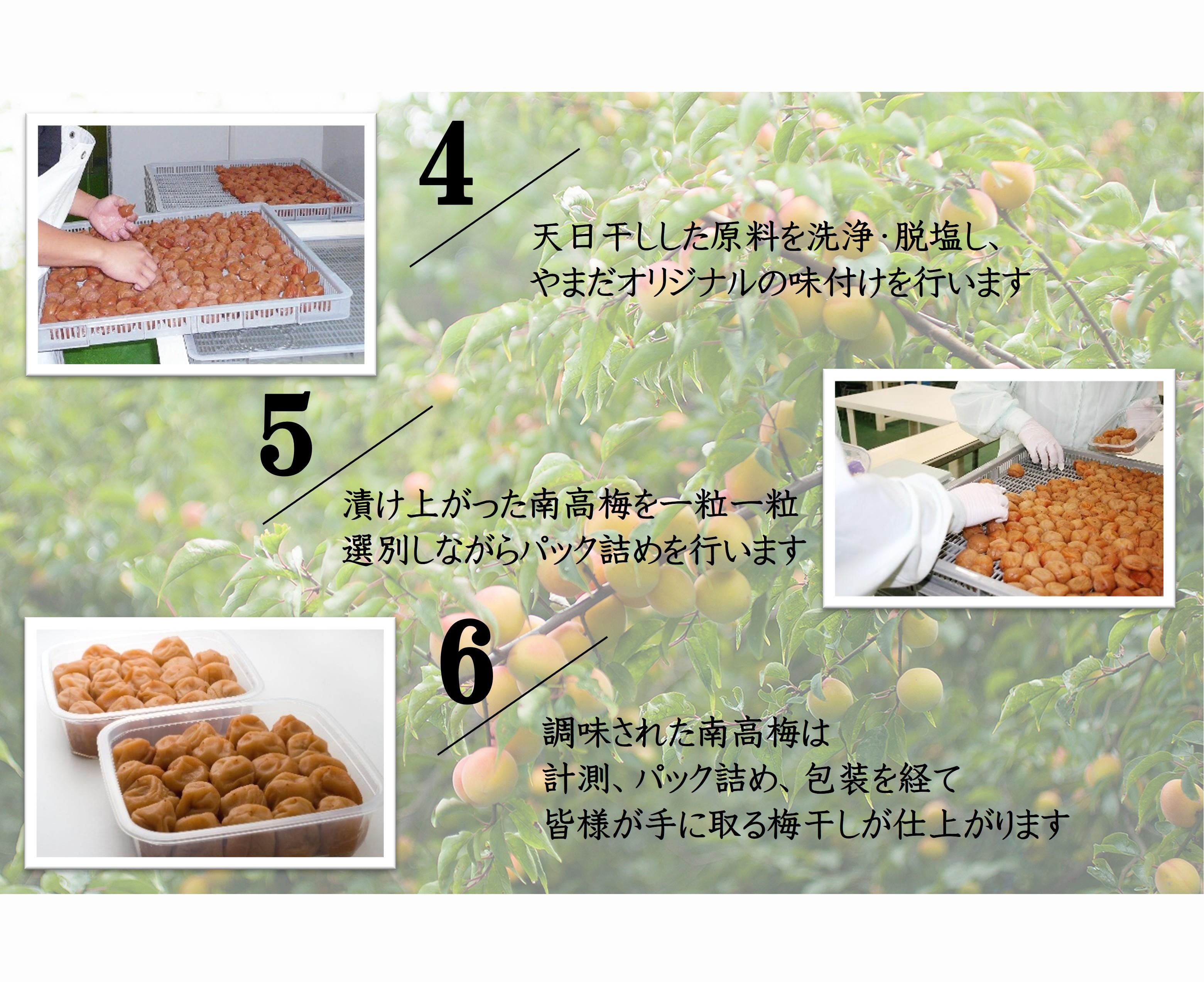 紀州南高梅 プレミアム 塩分約3％ 500g ［YM11m］ A-094a