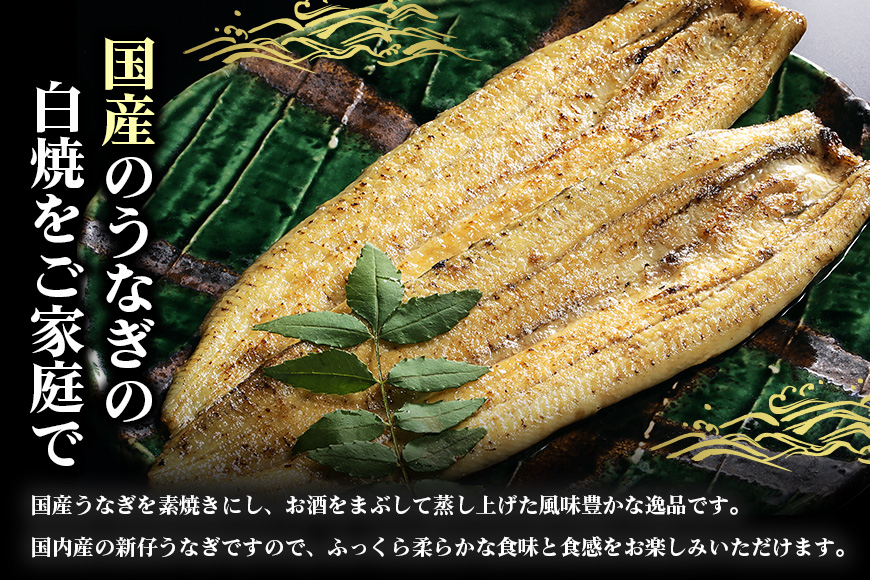 大きな国内産うなぎ白焼(酒蒸し)4尾　計560g以上