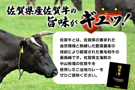 佐賀牛カレー 150g 6個 | 佐賀牛と野菜の深い味わい | 贅沢レトルトカレー 6個セット B-814 ご当地カレー 温めるだけ 湯煎 牛カレー 防災 非常食 常備食