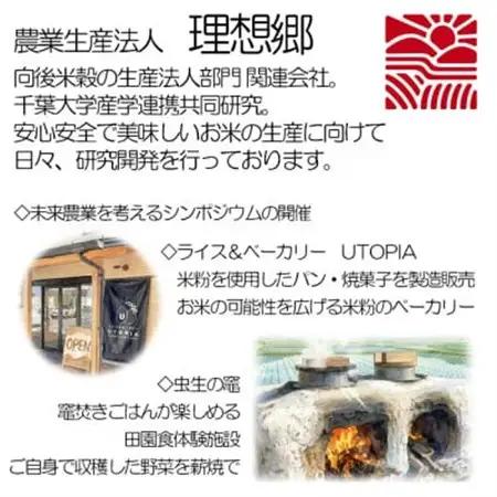 【令和8年産・新米】 理想郷ミルキークイーン　米5kg精米済　千葉県産米(白米)金賞_新米 先行受付 精米 金賞_【1090065】