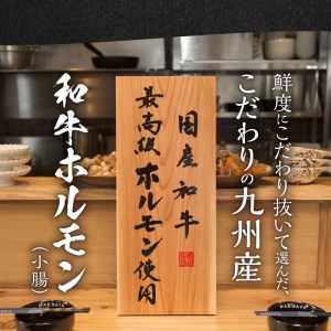 博多もつ鍋前田屋　もつ鍋セット　しょうゆ味2～3人前　KLM0204