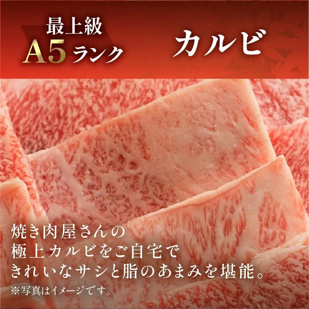 飛騨牛 特選霜降りカルビ 430g【11-1016】