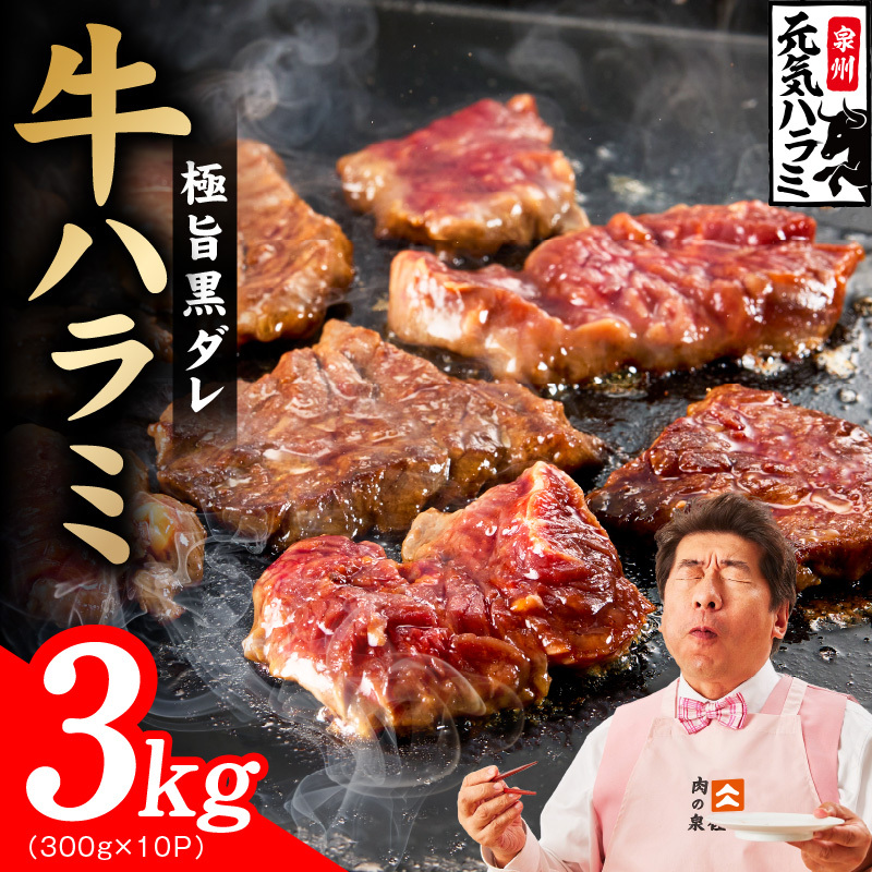 【新登場】極旨黒ダレ 牛ハラミ肉 3kg（300g×10P）【牛肉 はらみ 小分け 焼肉 お弁当 BBQ 訳あり ワケアリ わけあり サイズ不揃い 規格外 TVで話題】 030D278-1