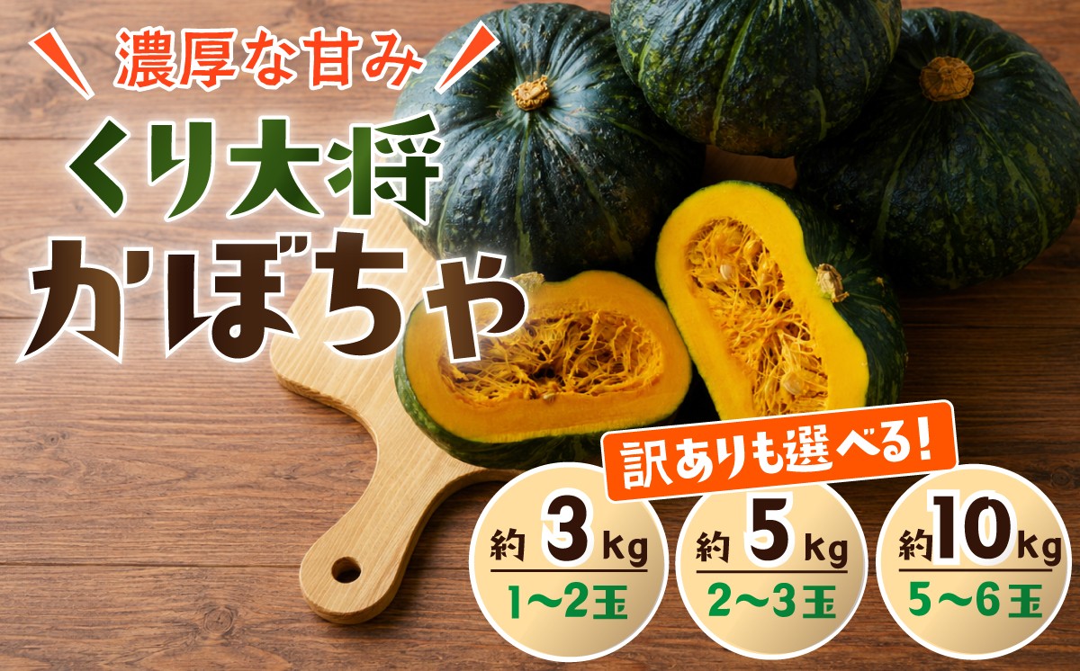 
                  訳あり かぼちゃ くり大将 《訳あり/正規品・容量が選べる！》訳あり 茨城県産 くり大将 約3kg (1玉〜2玉) / 約5kg (2玉〜3玉) / 約10kg (5玉〜6玉) 【茨城県 下妻市産 かぼちゃ カボチャ 南瓜 くり大将 くりたいしょう 採れたて 旬野菜 季節の野菜 甘い おすすめ】
                