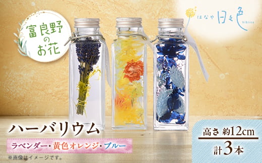 
                  ＜ギフト＞富良野のお花 ハーバリウム 3本セット(ラベンダー、黄色オレンジ、ブルー)【1551589】
                