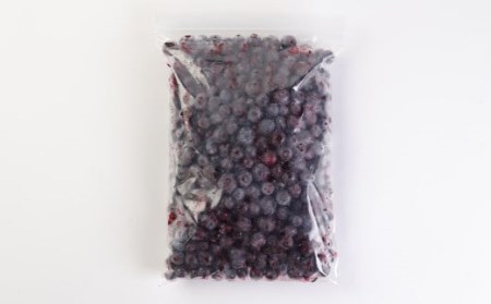 九重町産 冷凍 ブルーベリー 約2kg (1kg×2袋) 果物 フルーツ 冷凍フルーツ 冷凍果物 大分県 九重町産 