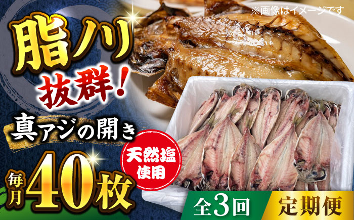 
【全3回定期便】漁師町佐島 真アジの開き 40枚セット 干物 横須賀 【石川水産】 [AKCX006]
