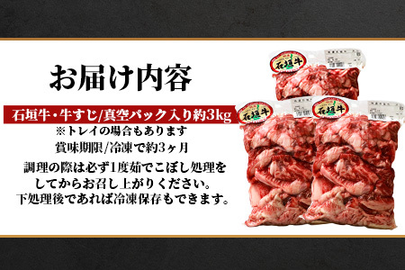 石垣牛・牛すじ ３kg （1kg×3） 冷凍便【 沖縄県 石垣市 牛肉 お肉 牛スジ 牛筋 煮込み おでん カレー 】 SI-86