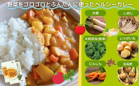 定期便 ３ヶ月 山口農園 有機野菜 おまかせセット＋カレー２箱 詰合せ 冷蔵 月１回 ／ふるさと納税 山口農園 有機野菜 伝統野菜 オーガニック ベジタリアン 定期便 カレー  野菜セット 農家直送 