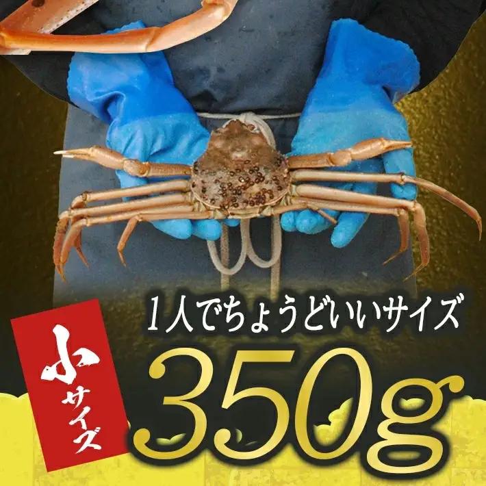 生・本ズワイガニ 1匹 350g程度 遊佐沖 10月中旬～12月下旬頃お届け 冷蔵便 ※着日指定・離島（沖縄県を含む）発送不可 1人前 東北 山形県 庄内地方 日本海 カニ 蟹 かに 海産物 シーフー