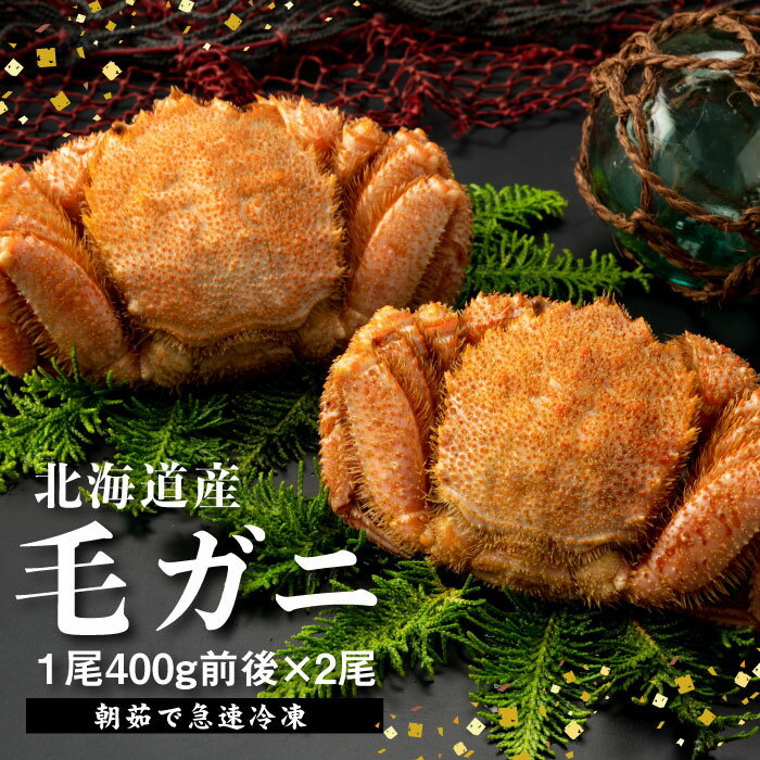 【ふるさと納税】【北海道産】『冷凍』毛ガニ400g前後×2杯【急速冷凍】【52001801】