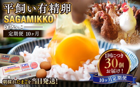 【10ヶ月定期便】平飼い有精卵 さがみっこ 30個（10個×3パック）｜たまご 平飼い 有精卵 かながわブランド認定