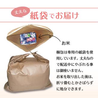 令和7年産　無洗米　福岡県産元気つくし 10kg_Gr032