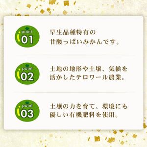 012-3　果樹園直送　美味しさが濃いね！テロワールみかん　7kg(10月～11月発送）