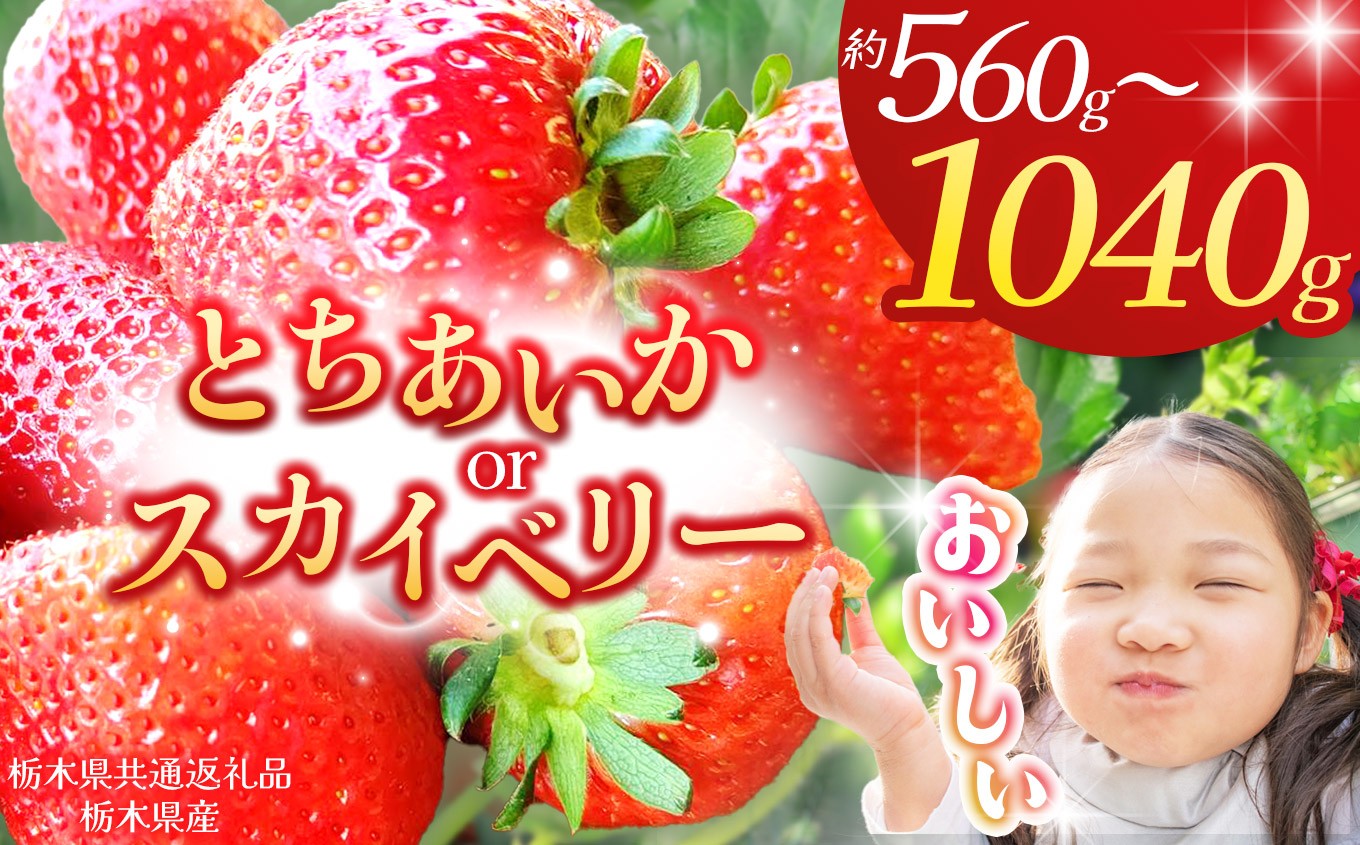 
            【栃木県共通返礼品】【2026年先行予約】【選べる品種】【選べるグラム数】とちあいか スカイベリー 260g×4P 280g×2P 1040g 560g| 年始発送 果物 くだもの フルーツ 野菜 やさい ヤサイ 苺 イチゴ いちご とちあいか 新鮮 甘い 数量 限定 美味しい 果物 共通返礼品 フルーツ デザート 栃木県 那珂川町 送料無料
          