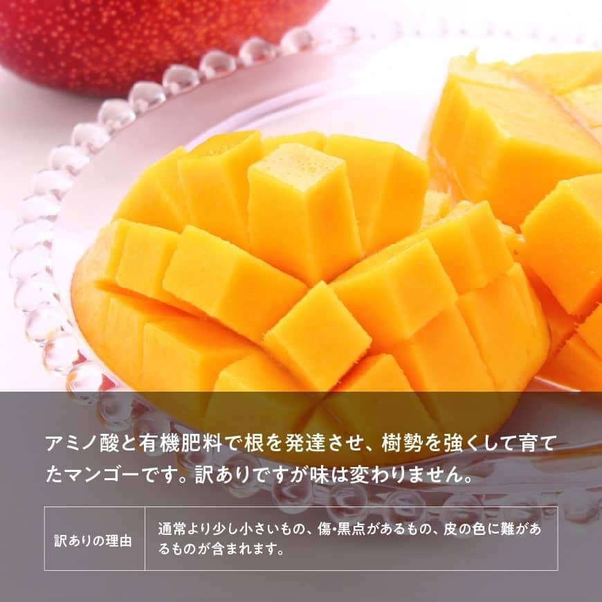 【令和8年発送】【訳あり】宮崎県産完熟マンゴー（ご自宅用）　完熟マンゴー3玉 【 果物 フルーツ マンゴー 宮崎県産 みやざきマンゴー 訳あり 先行予約 数量限定 期間限定 】[C03709]