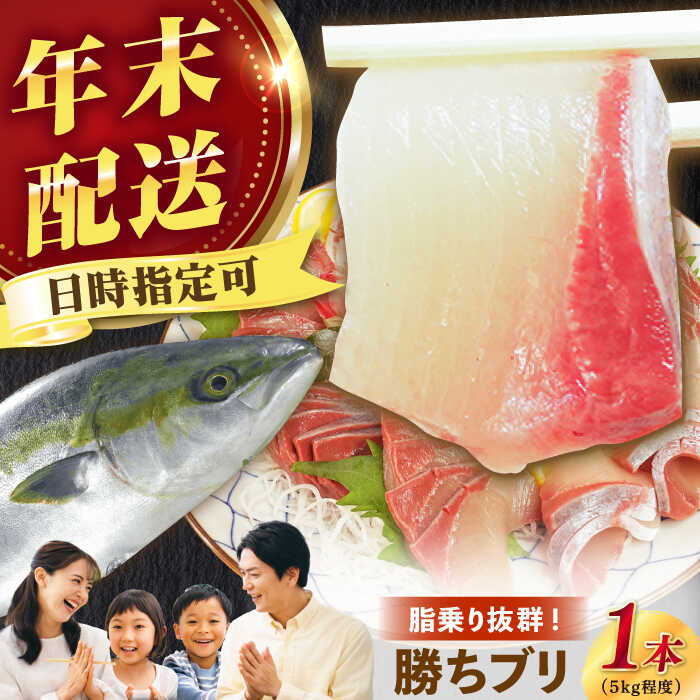 【ふるさと納税】【12/29～12/31にお届け】【着日指定必須】 養殖 勝ち ブリ 1本 ぶり ブリ 鰤 ぶりしゃぶ ブリしゃぶ しゃぶしゃぶ 海産物 魚介類 海鮮 刺身 さしみ 魚 鮮魚 国産 年末 年内配送【カミティバリュー】 [RBP053]