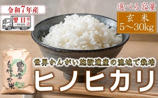 
                  【 玄米 選べる容量】 【 最短 翌日発送 】令和7年産　ヒノヒカリ　八千種米　お米　ごはん　兵庫県産　世界かんがい施設遺産登録『西光寺野疏水路』
                